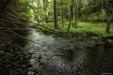 Lot 1 Chapin Trail - Photo 4