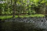 Lot 1 Chapin Trail - Photo 7
