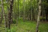 Lot 1 Chapin Trail - Photo 8