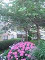 2500 Johnson Avenue - Photo 18