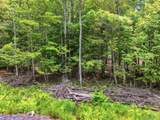 TBD Boulder Brook Lot B14 Road - Photo 4