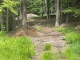 TBD Boulder Brook Lot B12 Road - Photo 3