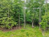 TBD Boulder Brook Lot B12 Road - Photo 6