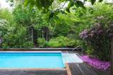 558 White Roe Lake Road - Photo 34