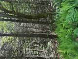 TBD Ahrens Road - Photo 11