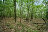  Stag Hill Road - Photo 5
