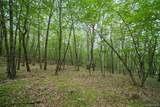  Stag Hill Road - Photo 6