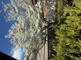 1303 139th Street - Photo 4