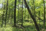 624 County Road - Photo 16
