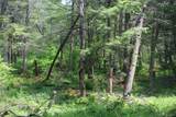 624 County Road - Photo 22