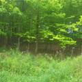 *** Mountaindale Road - Photo 3
