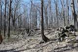79-85 Miller Road - Photo 10