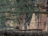  Red Hill Road - Photo 10