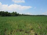  County Road 19 - Photo 9