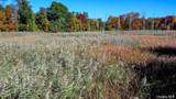 225 Route 22 - Photo 7
