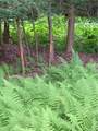  Logtown Road - Photo 2