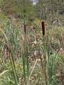  Logtown Road - Photo 5