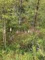  Logtown Road - Photo 9