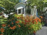 17 Cypress Avenue - Photo 3