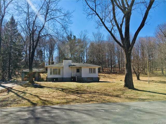 4 Lower Salem Road, South Salem, NY 10590 (MLS #H6102119) :: Mark Boyland Real Estate Team