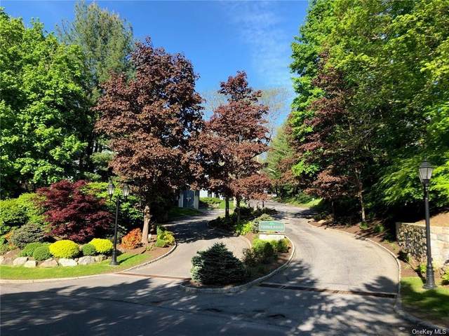 46 Timber Ridge, Mount Kisco, NY 10549 (MLS #H6102515) :: Mark Boyland Real Estate Team