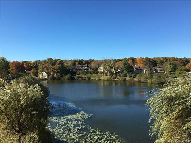 319 Overlook Court, South Salem, NY 10590 (MLS #H6102823) :: Mark Boyland Real Estate Team