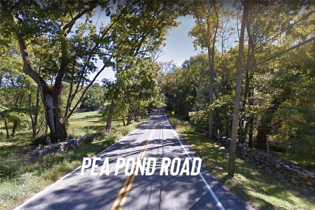371-383 Pea Pond Road - Photo 1