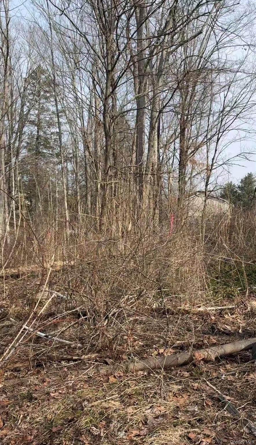 19 & 25 Clearbrook Drive - Photo 1