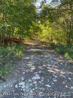 L-33 Harring Road - Photo 1