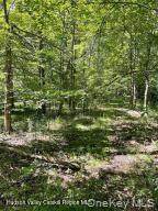 L-33 Harring Road - Photo 2