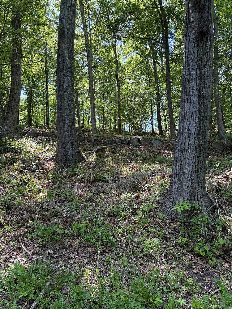 98 Ice Pond Road - Photo 1
