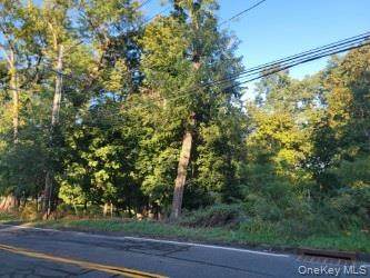 144 Old Haverstraw Road - Photo 1