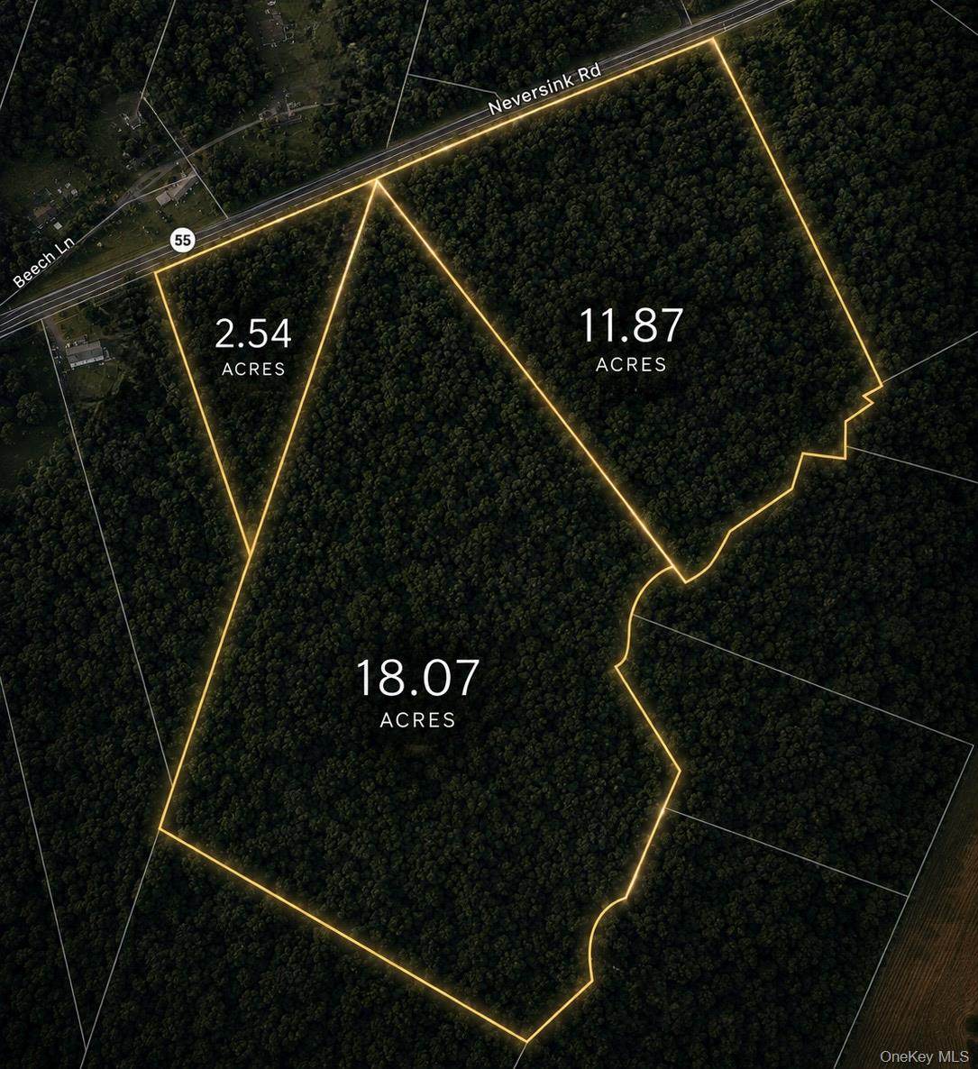  3 Lots Neversink Road - Photo 1