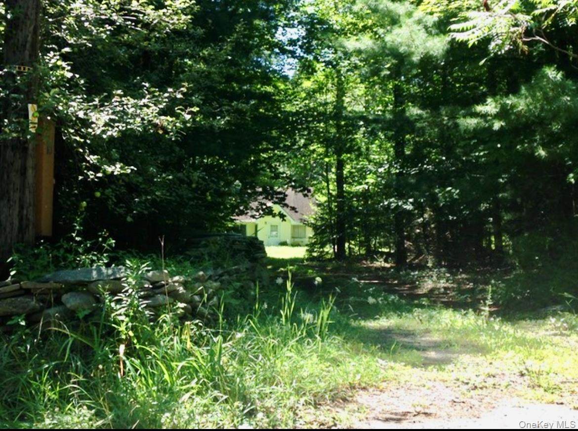 143 Mountain Dale Road - Photo 1