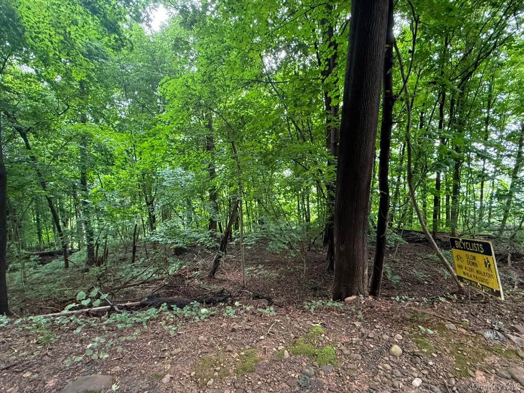 43 River Road - Photo 1