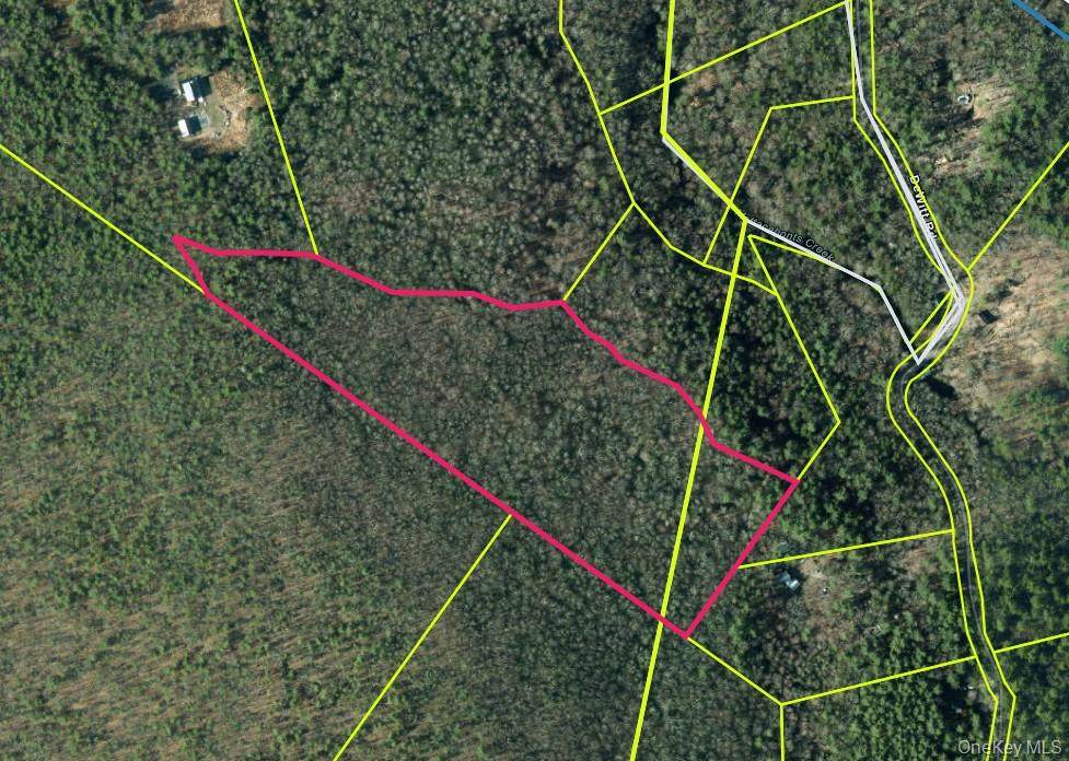  Dewitt Road - Photo 1