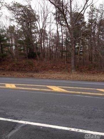 South/Side Middle Country Road - Photo 1