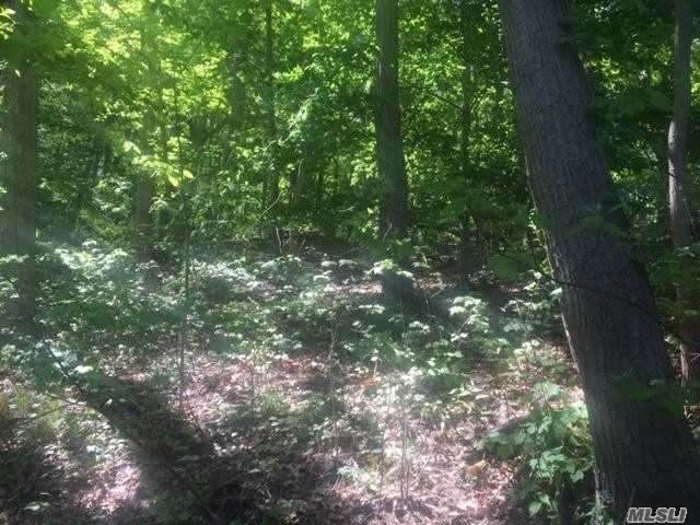 Spring Hollow Road - Photo 1