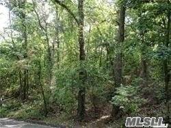 95-4 Rocky Point Road - Photo 1