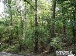 95-3 Rocky Point Road - Photo 1
