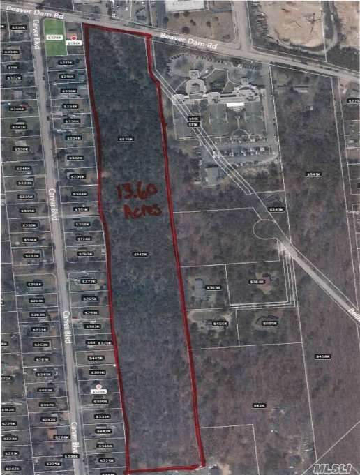 Beaver Dam Road - Photo 1