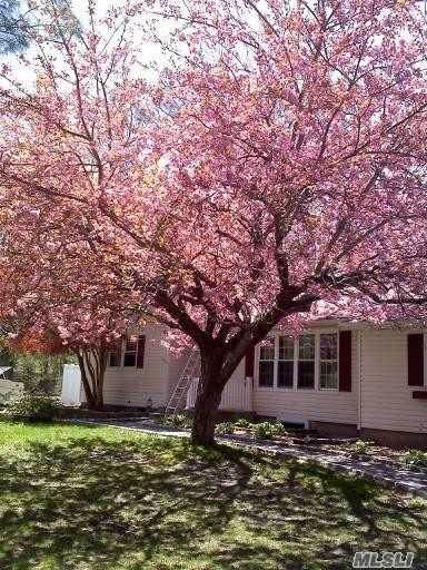 34 Wellington Road - Photo 1