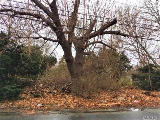 524 (V/L) Taylor Avenue - Photo 1