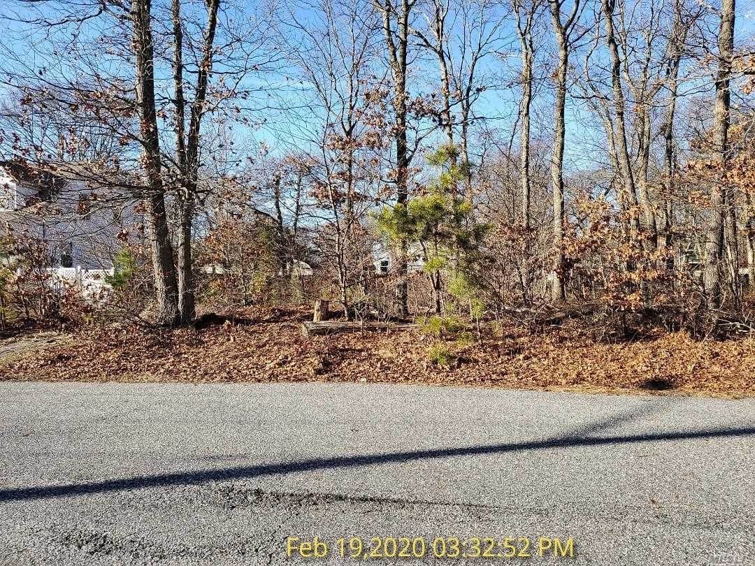 v/l Main Avenue - Photo 1