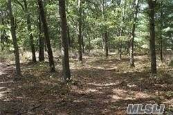 415 South Chapman Boulevard - Photo 1
