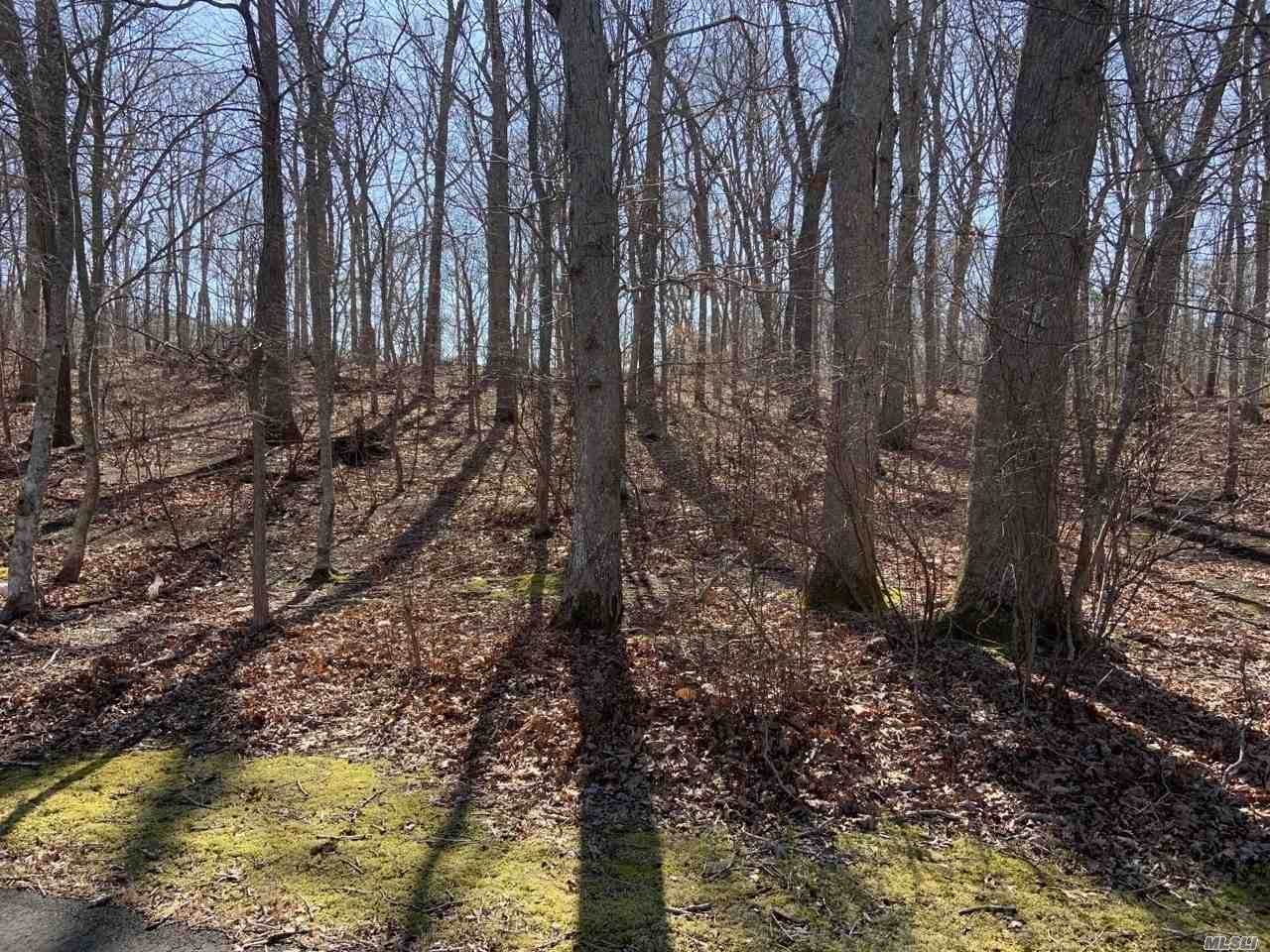9 Willow Pond Lane - Photo 1 9 Willow Pond Lane - Photo 1
