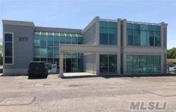 217 Merrick Road - Photo 1