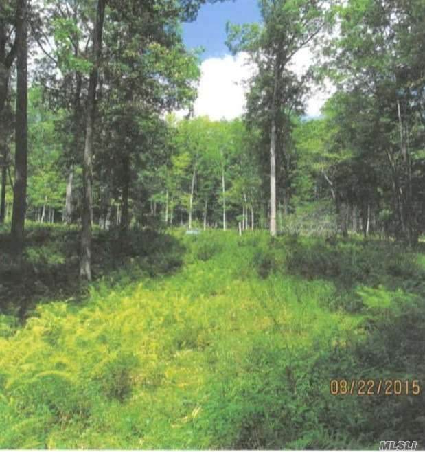 78 Mathias Weiden Drive - Photo 1