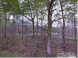 v/l Wading River Road - Photo 1