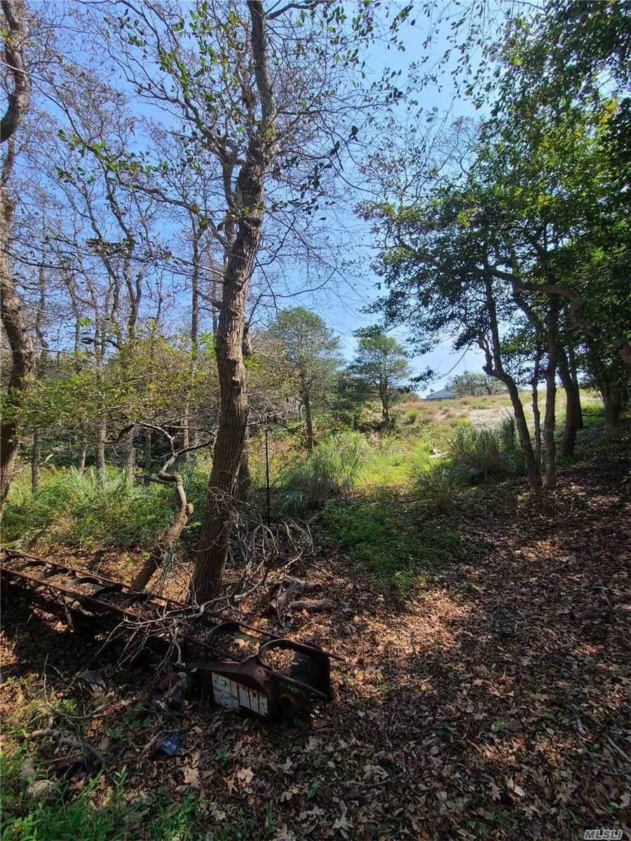 461 Fire Island Boulevard - Photo 1